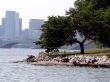 river scenic 2