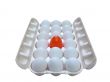 stand out - eggstraordinary egg 2
