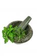Mortar And Pestle with Fresh Herbs