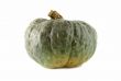 Pumpkin 1