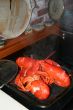 Lobsters fresh from the pot