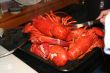 Lobsters fresh from the pot
