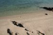 Tropical beach