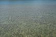 Clear seawater