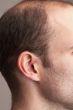 ear