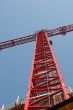 Red Crane into Sky