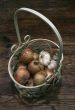 Basket wth onions and garlick