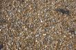 Pebbles on the beach