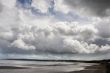 Beach scene