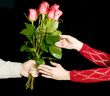 The gift of roses