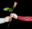 The gift of roses