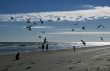 Beach Therapy