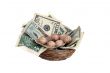 Nest egg
