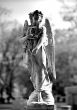 Cemetery angel