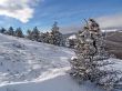 in mountains