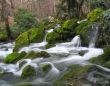 The mountain rive