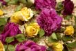Dried roses 2