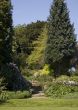 Garden Path 1