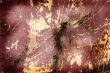 Grunge background