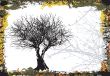 Grunge trees