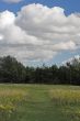 Meadow path