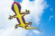 big lizard kite fly in blue summer sky