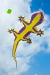 big lizard kite fly in blue summer sky