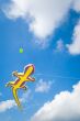 big lizard kite fly in blue summer sky