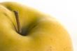 Yellow apple stem macro