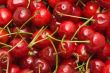 red cherry group background