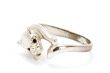 Silver ring with lion