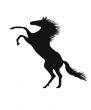 Rearing horse