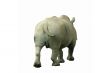 Rhino