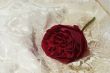 satin lace and red rose 2