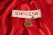 Success