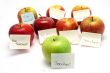 Apples for teacher