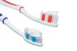 Two toothbrushes