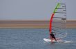 Windsurfer