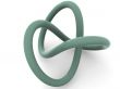 torus knot.