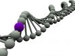 gene in DNA