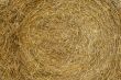 Bulk of straw