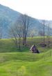 Small house on the hill