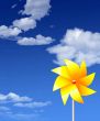 Floral Pinwheel against Summer Sky