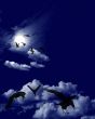 Ravens Flock in a Moonlit Skyscape