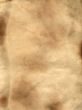 paper