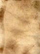 paper