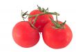 trio cluster of tomatoes on white