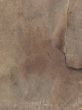 paper