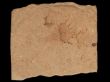 Old paper