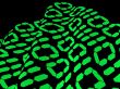 binary